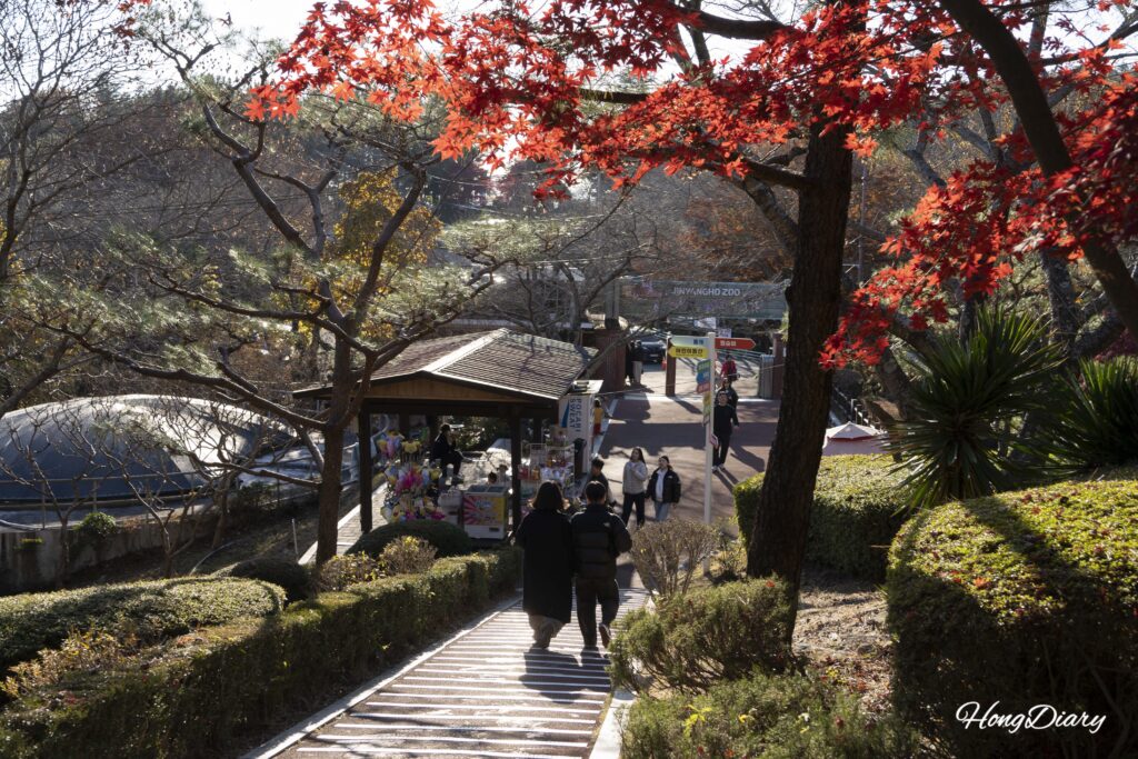Camino hacia el área de animales del Zoológico de Jinyangho con la tienda de snacks visible