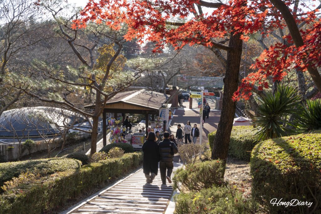 晋陽湖動物園の動物エリアへ続く通路と園内の売店