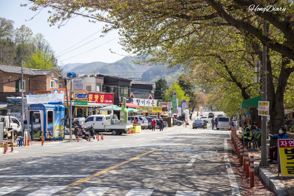 Vista de los alrededores y tiendas del Mercado Hwagae en Hadong