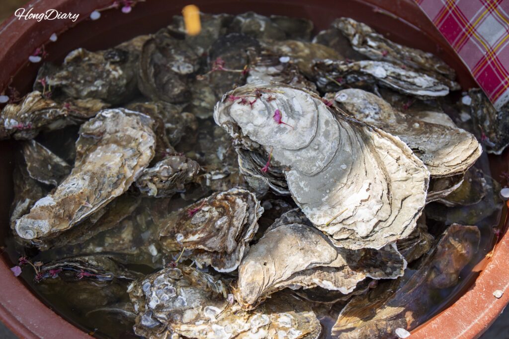 Ostras de cerezo (beotgul) del río Seomjin en venta en el Mercado Hwagae