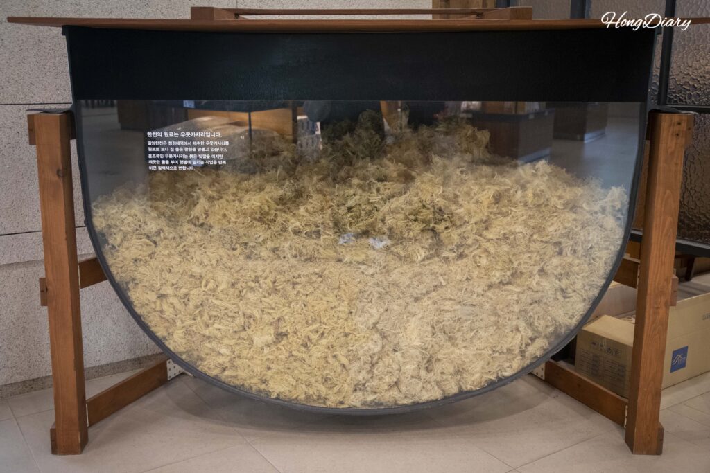 凍結と乾燥を繰り返して白く変化したウムガサリの展示(密陽寒天博物館)