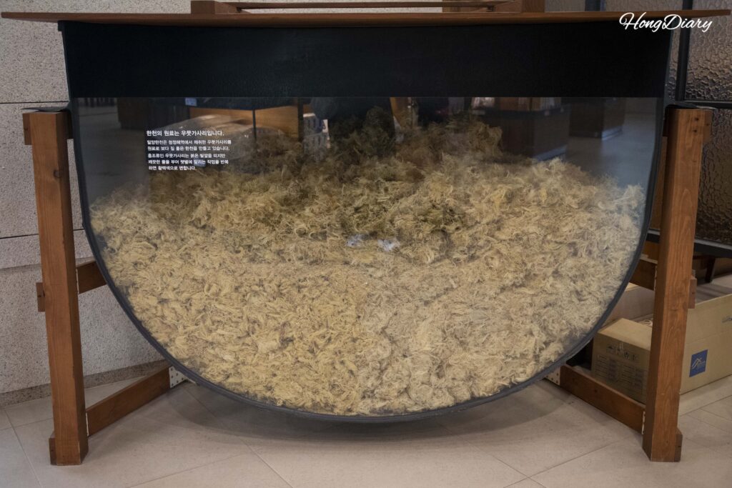 Different species of red seaweed used for agar production displayed at the Miryang Agar Museum