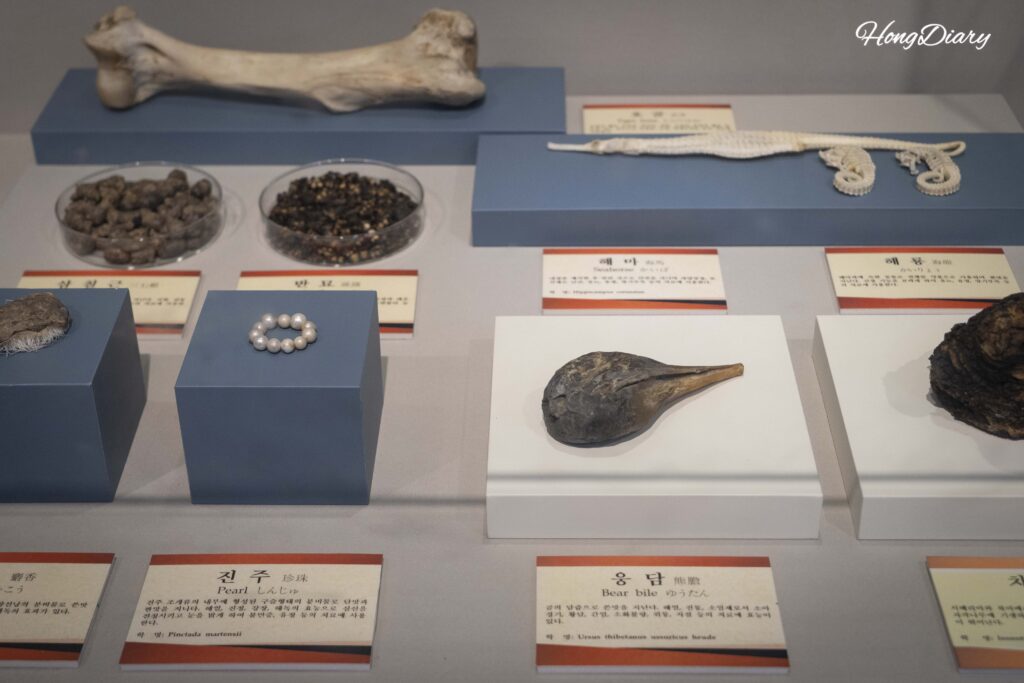 Exhibición de hierbas medicinales raras en el Museo Yangnyeongsi de Daegu