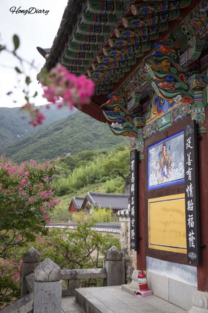 Flores de crespón en la zona de entrada del templo Pyochungsa durante el verano en Miryang
