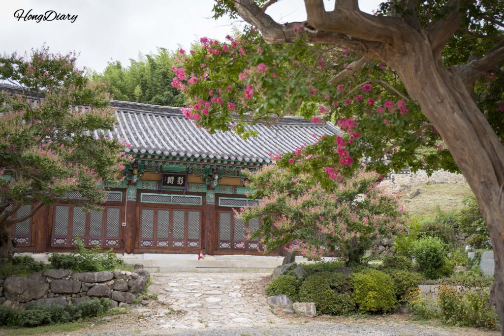 Flores de crespón con el edificio Yeonggak de fondo en el templo Pyochungsa, Miryang