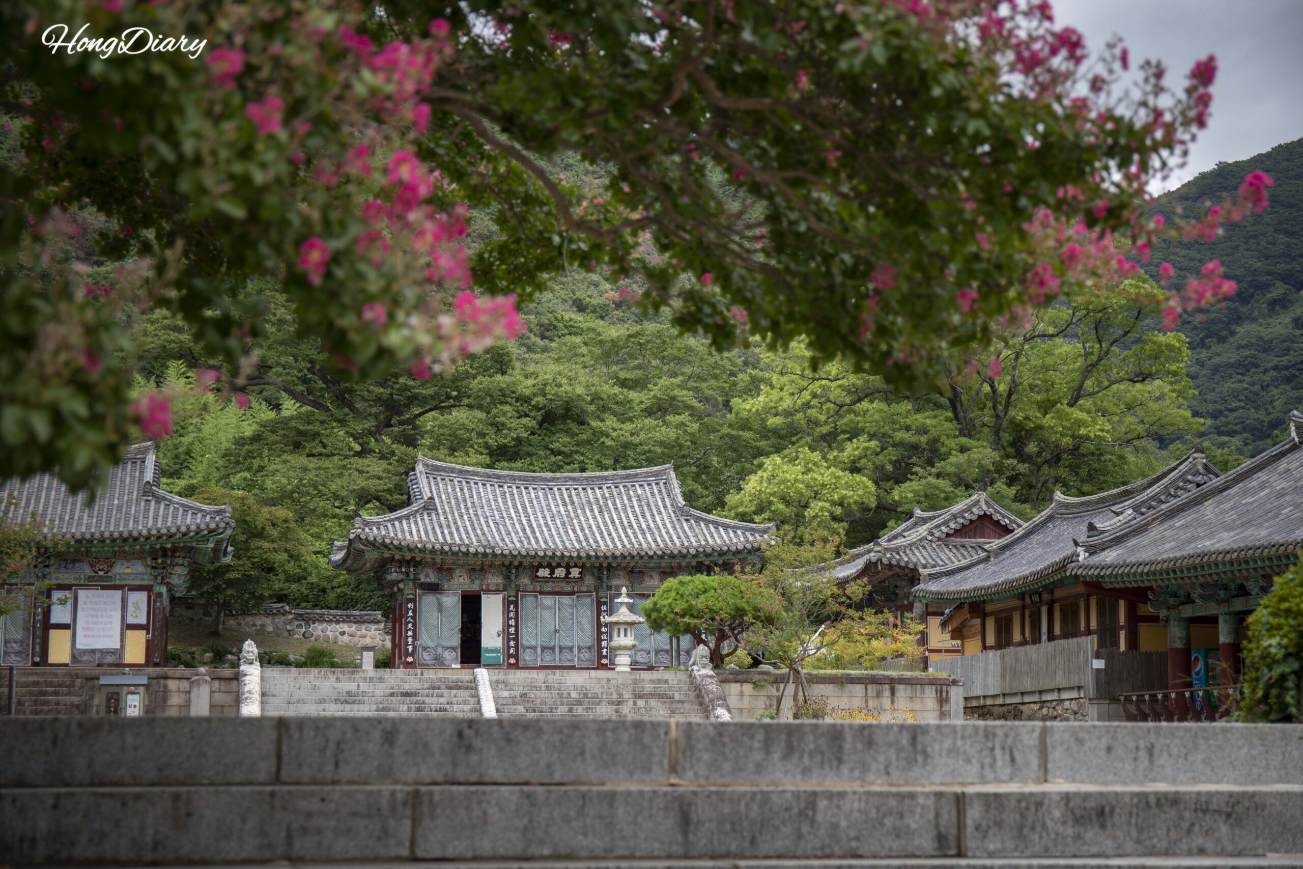 Pyochungsa Temple: Crape Myrtles, Warrior Monks, and a Confucian Twist in Miryang