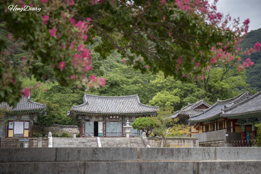 Vista a distancia del Myeongbujeon (Salón del Rey del Inframundo) en el templo Pyochungsa