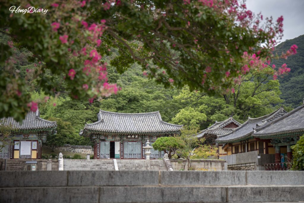 遠景から見た表忠寺の冥府殿と周囲の山林