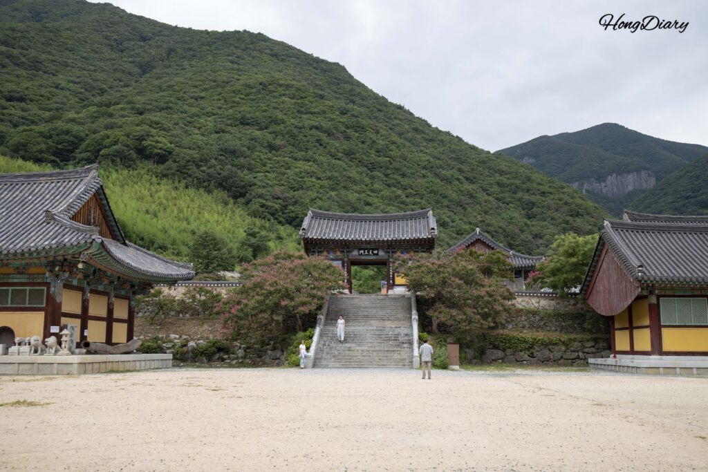表忠寺の入口から望む四天王門と載薬山の全景