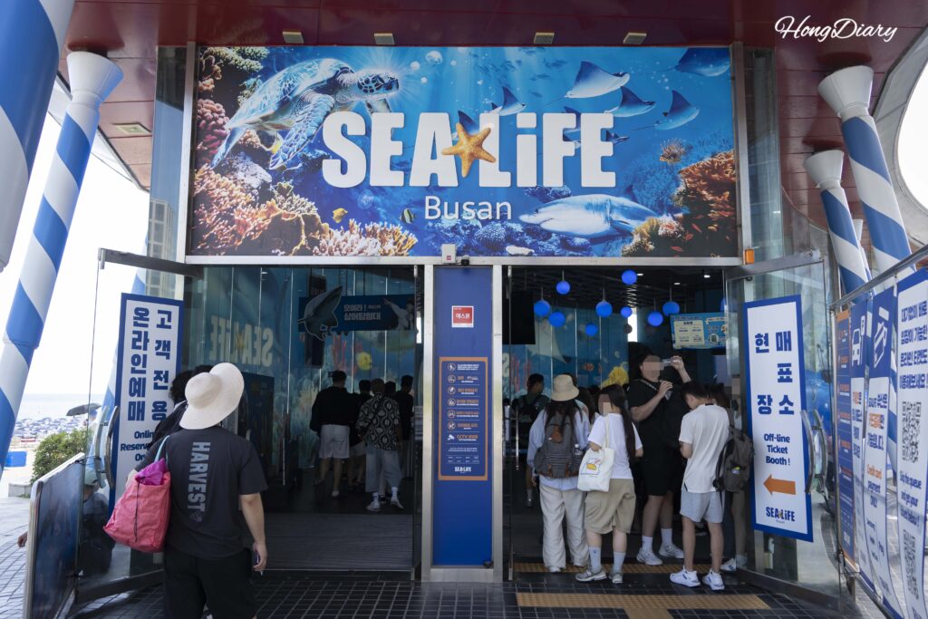 海雲台ビーチ直結のシーライフ釜山水族館入口