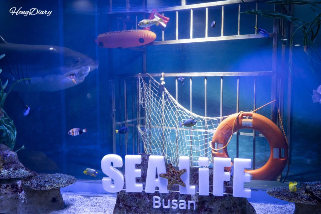 SEA LIFE Busan Aquarium logo displayed on a large tank