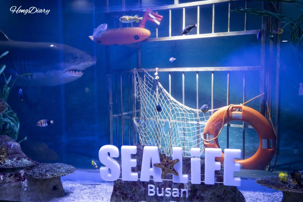 Tanque grande con el logo de SEA LIFE Busan Aquarium