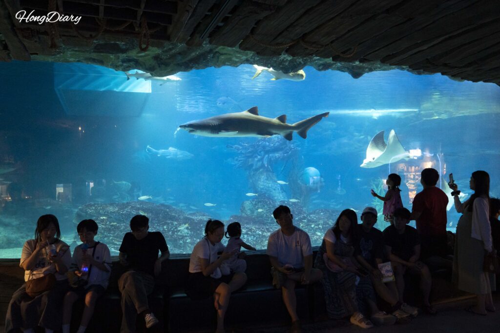 Visitors watching sharks and marine life in the main 3,000-ton tank at SEA LIFE Busan