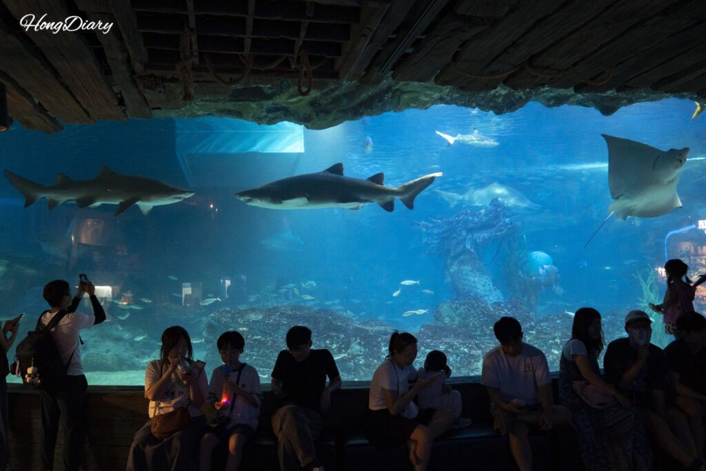 Visitantes observando tiburones en el tanque principal de 3.000 toneladas