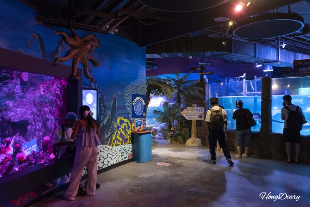 シーライフ釜山水族館の海洋生物展示ゾーン