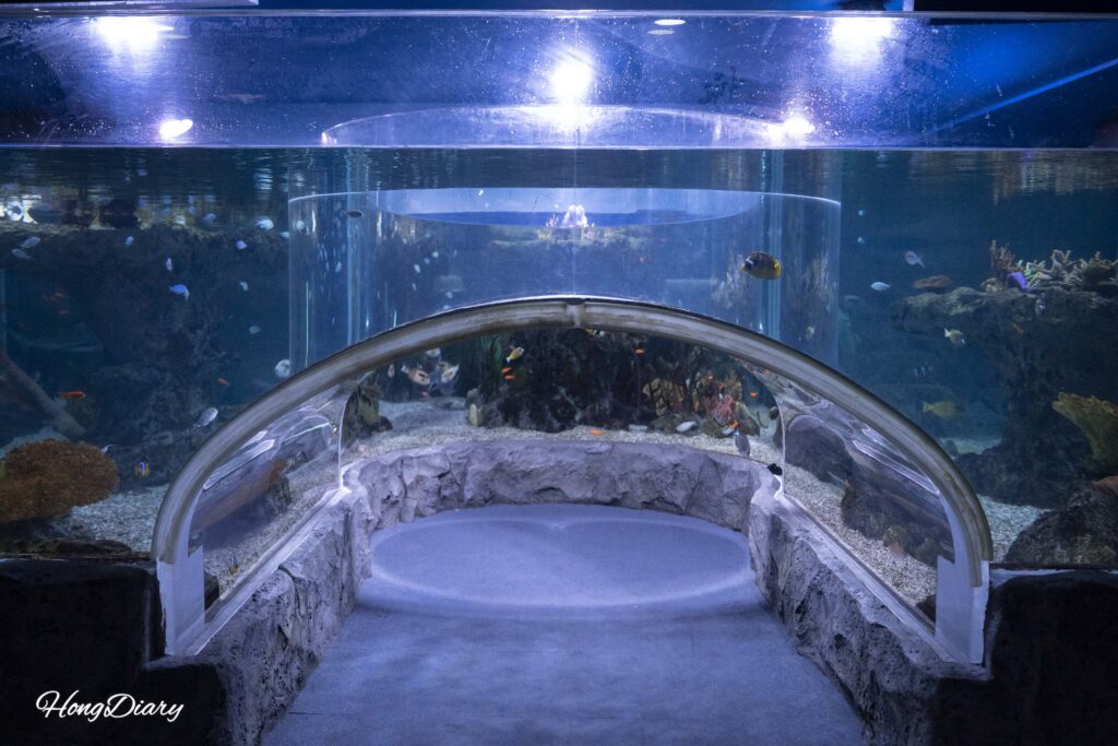 Marine life exhibition zone at SEA LIFE Busan Aquarium