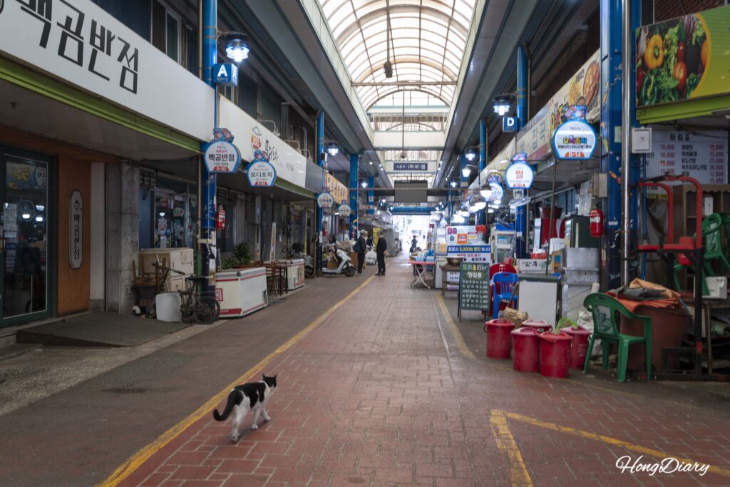 Walking through Bongnae Market in Yeongdo, Busan with a calico cat visible in the alley