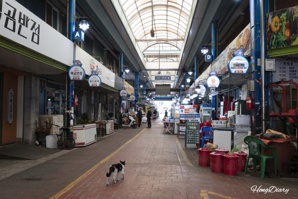Caminando por el Mercado Bongnae en Yeongdo, Busan, con un gato tricolor visible en el callejón