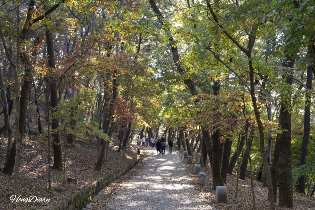 Visitors walking along the forested trail from Busosanseong Fortress toward Nakhwaam Rock in Buyeo