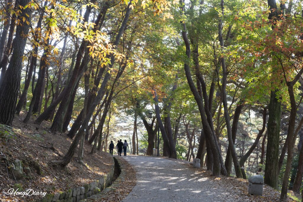 Visitantes caminando por el sendero boscoso desde la Fortaleza Busosanseong hacia la Roca Nakhwaam en Buyeo