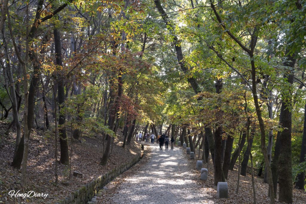 扶蘇山城から落花岩へ向かう森の散策路と観光客