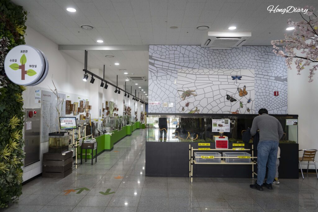Overview of the first floor exhibition area at Changnyeong Upo Insect World with aquariums and insect displays