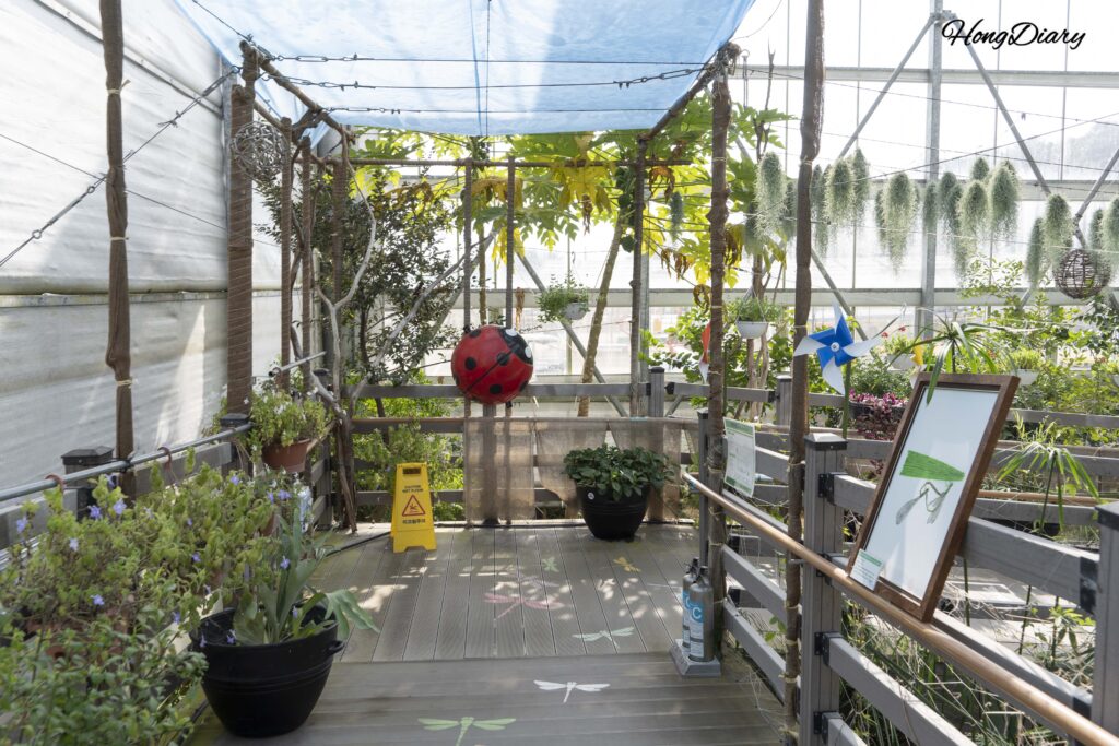 Corridor path leading from the second floor exhibition to the tropical greenhouse at Changnyeong Upo Insect World
