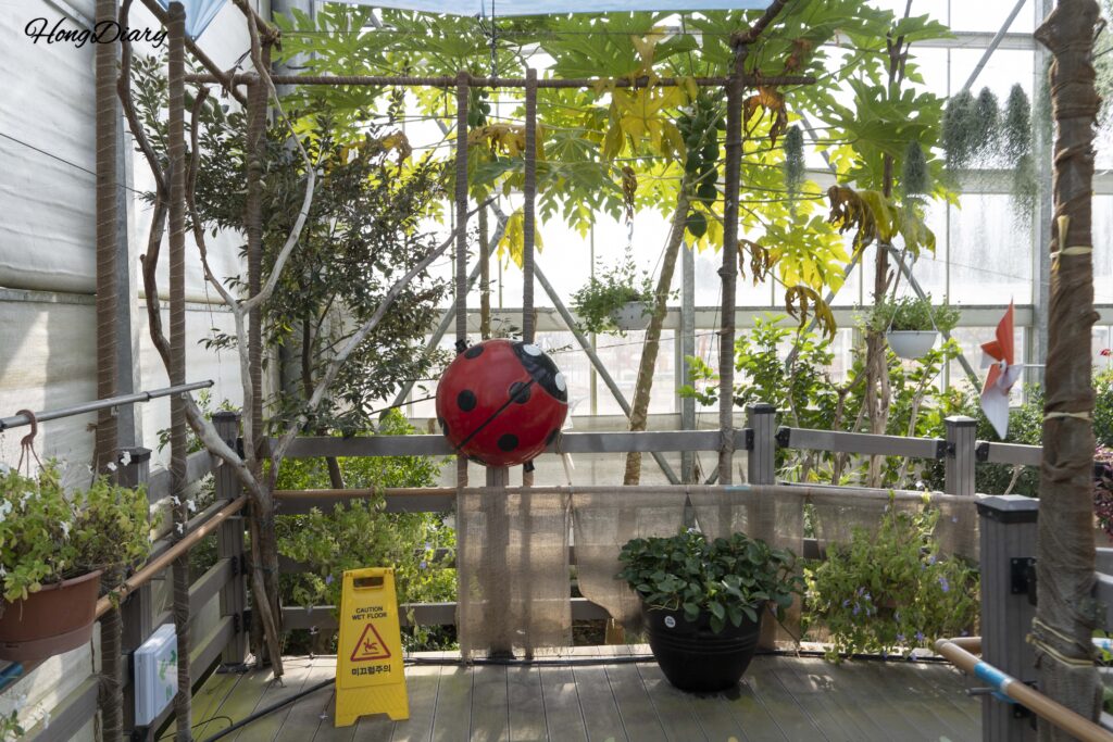 Pasillo que conecta el segundo piso con el invernadero tropical de Changnyeong Upo Insect World