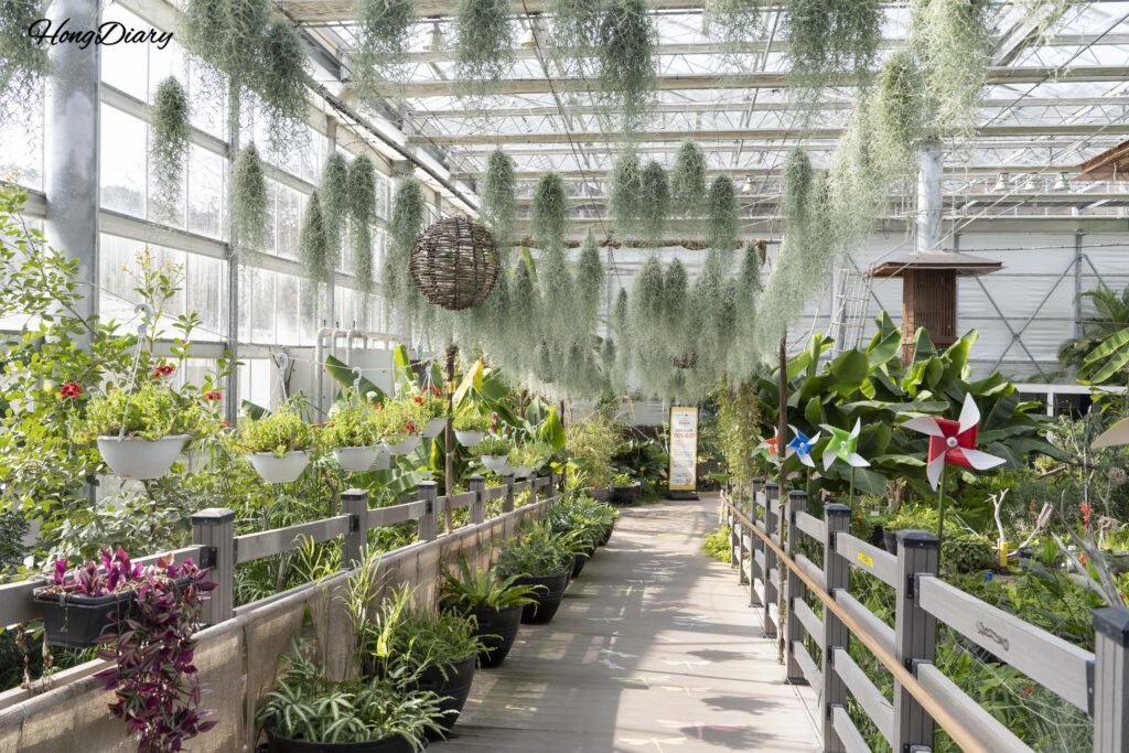 昌寧ウポ昆虫の国2階から温室へ続く通路と乾燥蜂の巣標本の展示