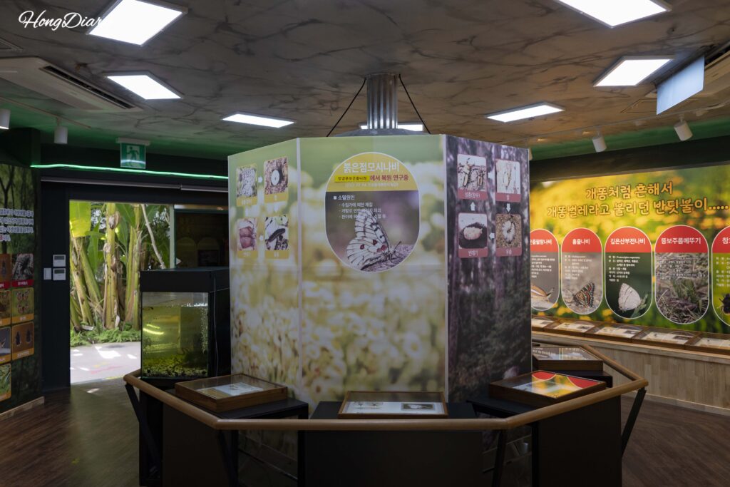 昌寧ウポ昆虫の国温室出口付近にあるウポ湿地の絶滅危惧種復元研究の展示パネル