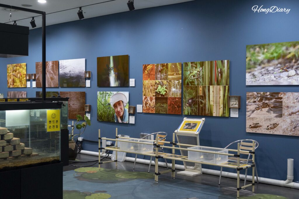 Overview of the second floor live insect and animal experience room at Changnyeong Upo Insect World