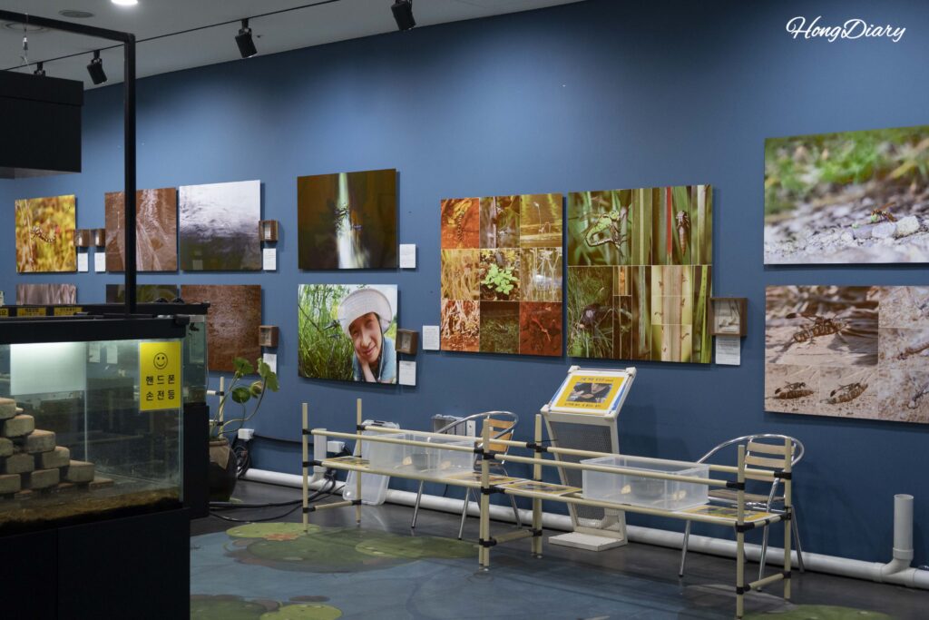 Vista panorámica de la sala de experiencias del segundo piso de Changnyeong Upo Insect World