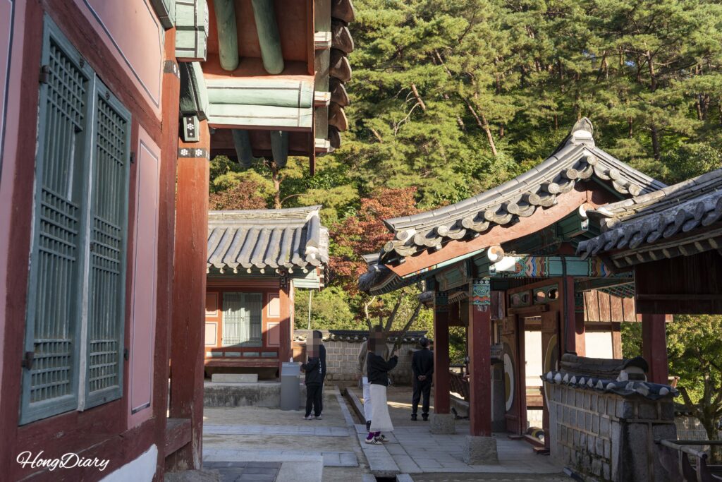 紅葉に包まれた陶山書院の内部風景(安東)
