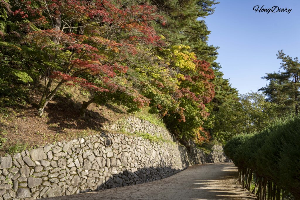 Autumn foliage along the walking path from the ticket gate to Dosan Seowon in Andong, South Korea