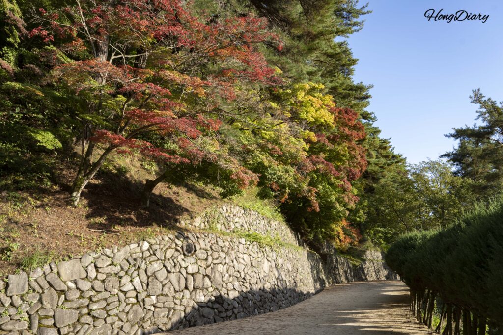 Camino arbolado desde la taquilla hacia Dosan Seowon en otoño, Andong, Corea del Sur