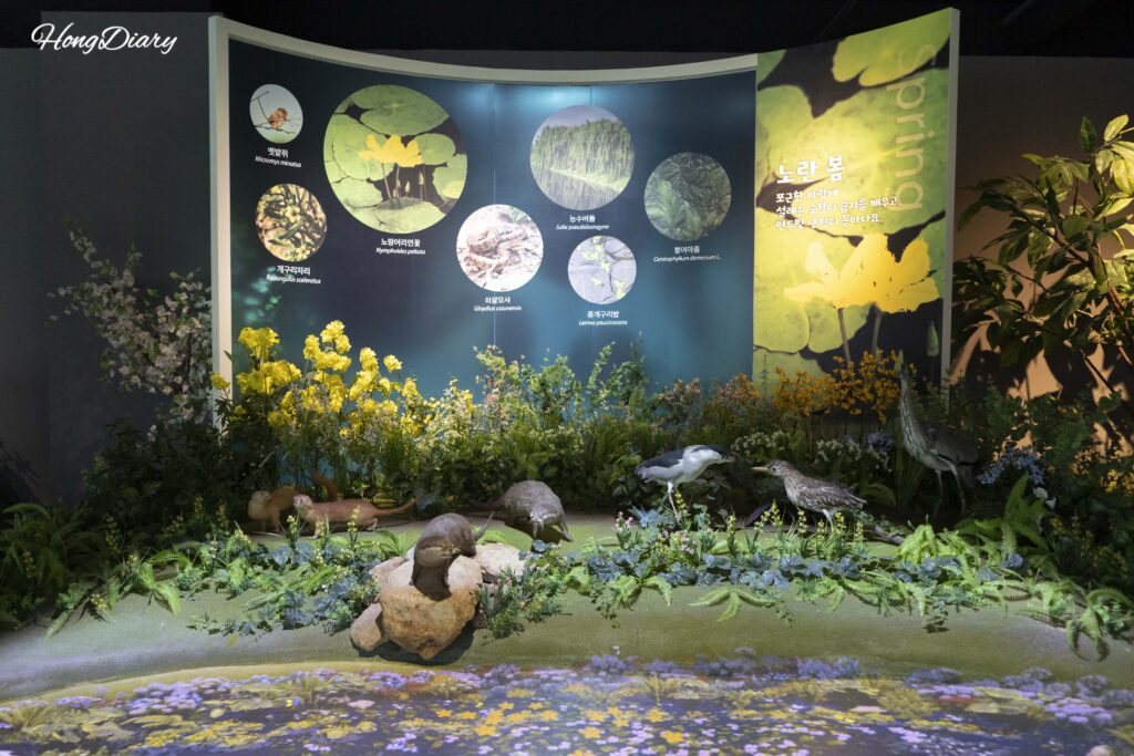 Diorama of spring wetland ecosystem with plant and animal models inside Hwapocheon Wetland Science Museum, Gimhae