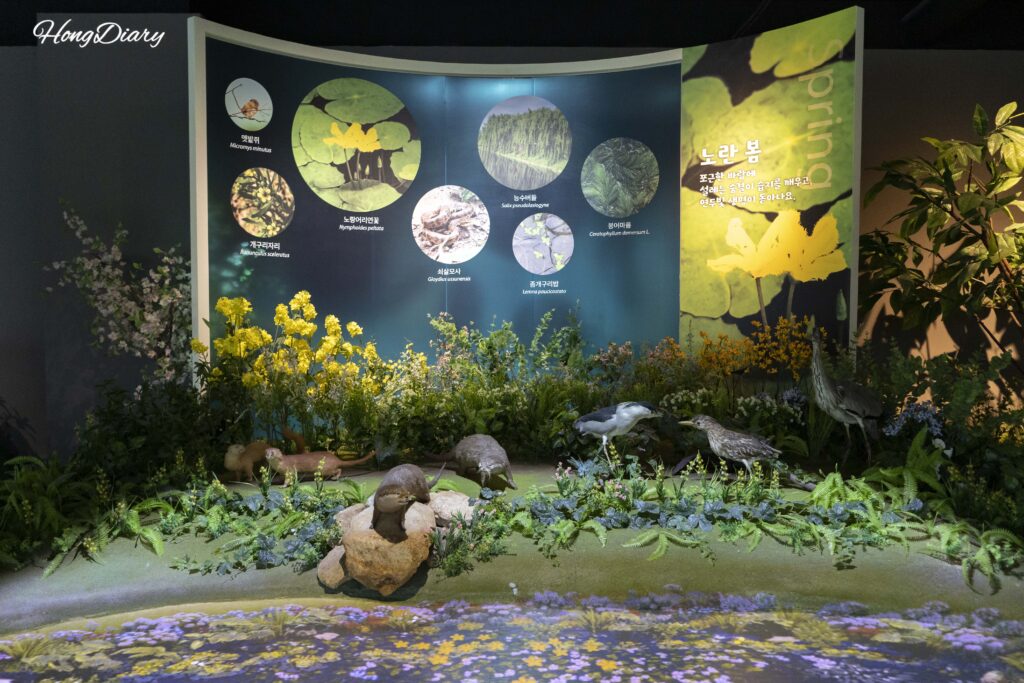 Diorama del ecosistema de humedal en primavera con modelos de plantas y animales en el Museo del Humedal de Hwapocheon, Gimhae