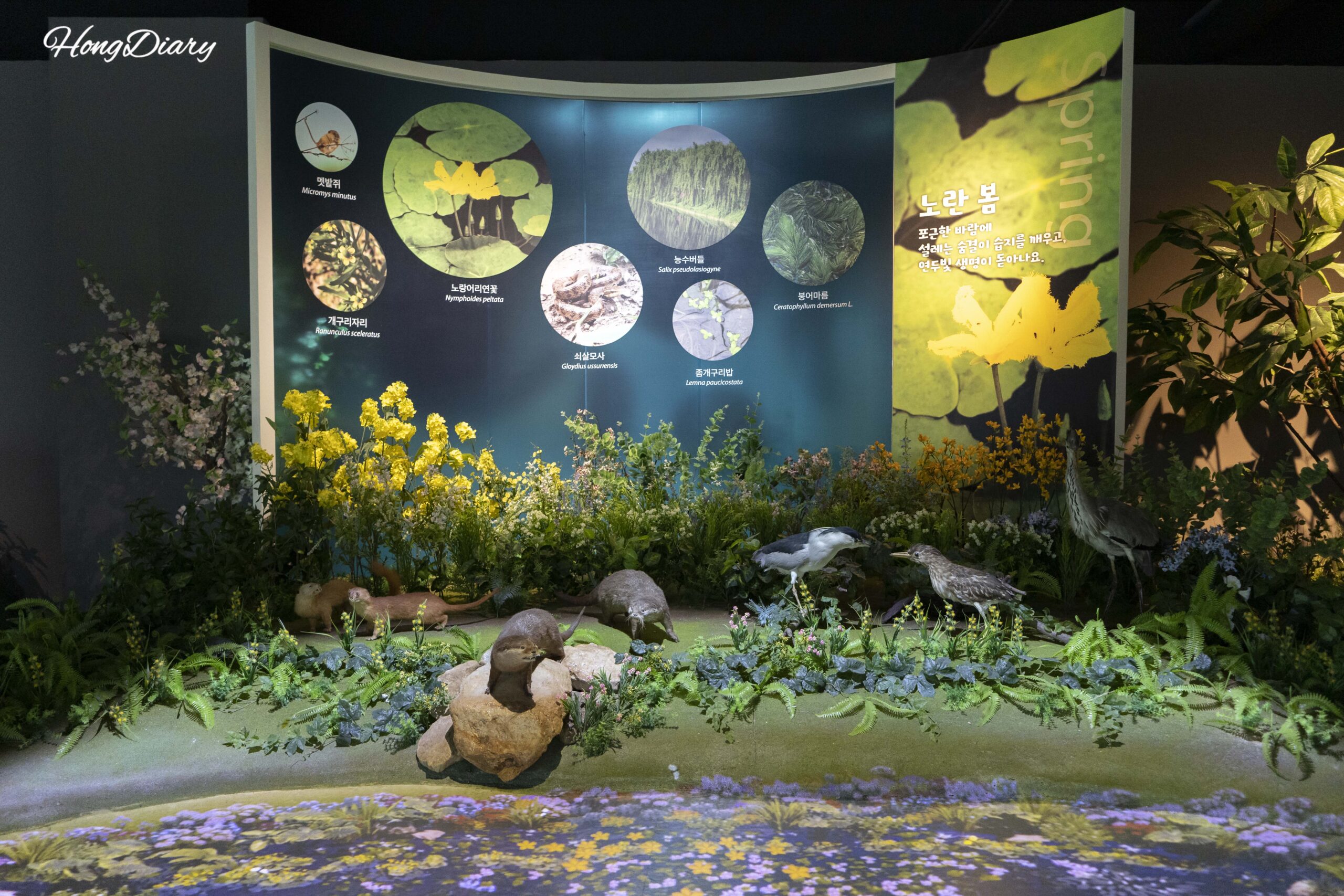 Diorama del ecosistema de humedal en primavera con modelos de plantas y animales en el Museo del Humedal de Hwapocheon, Gimhae