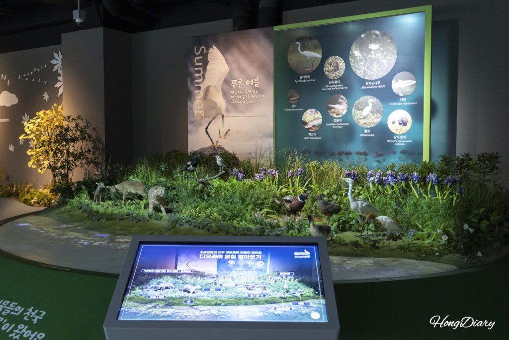 金海ファポチョン湿地科学館内の春の湿地生態系ジオラマ。動植物の模型が展示されている