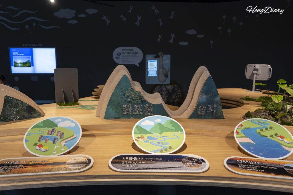 Wall display explaining different types of wetlands including riverine and coastal at Hwapocheon Wetland Science Museum