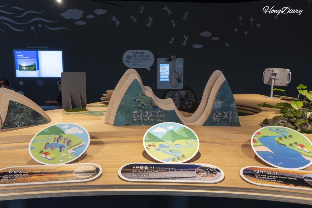 ファポチョン湿地科学館に展示されている河川型・沿岸型など世界の湿地の種類を比較する壁面パネル