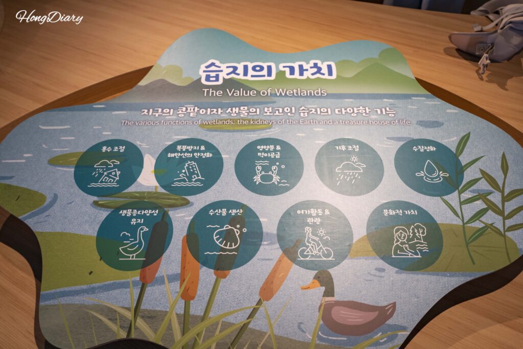 Educational pamphlet explaining the ecological value of wetlands on display at the Hwapocheon Wetland Science Museum