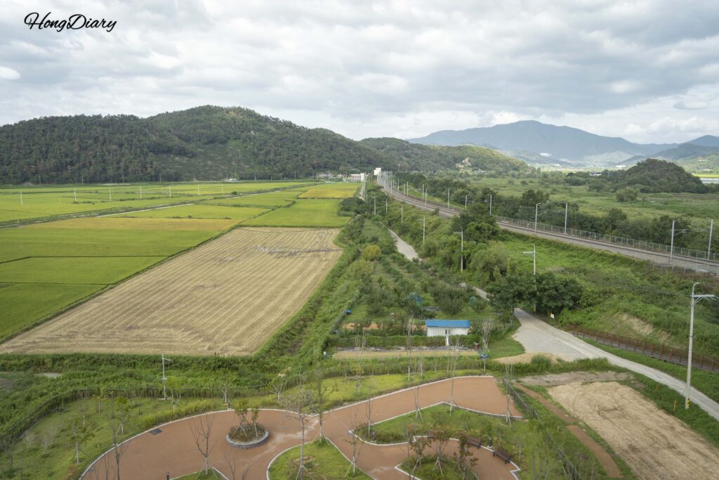 Panoramic view of Hwapocheon Wetland and surrounding rice paddies seen from the observatory tower in Gimhae