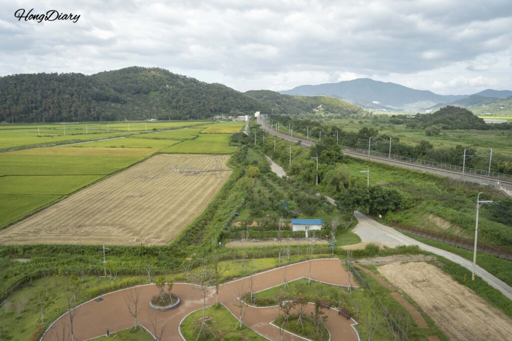 Vista panorámica del Humedal de Hwapocheon y los arrozales circundantes desde la torre de observación en Gimhae