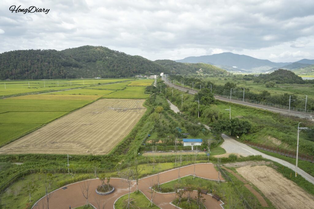 金海ファポチョン野鳥展望台から見下ろした湿地と周辺の田園風景