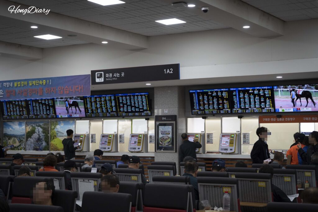 Visitors watching a live horse race from the grandstand at Let's Run Park Busan