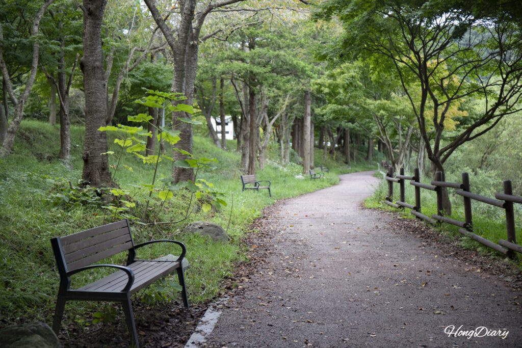 Sendero interior del Arboreto de Naejangsan con un banco entre árboles frondosos en septiembre