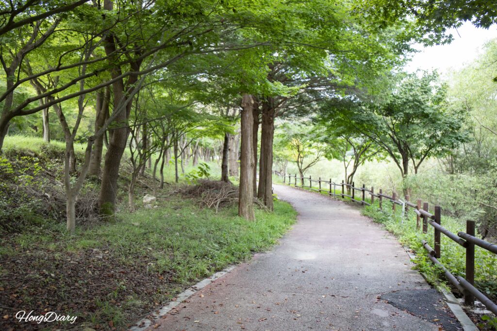 Shaded walking path inside Naejangsan Arboretum in Jeongeup during September