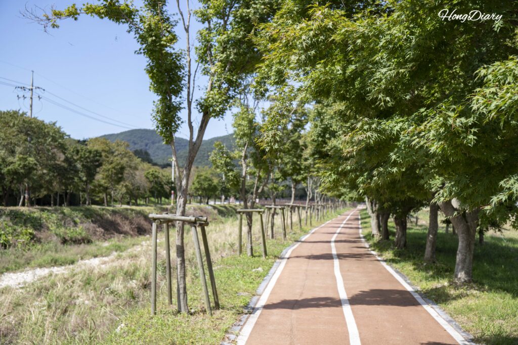 Camino cerca del Parque Nacional de Naejangsan en Jeongeup, rumbo al arboreto a principios de otoño