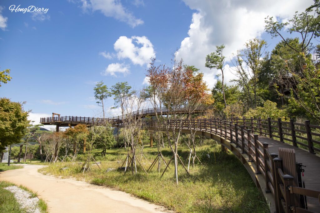 Wooden deck walkway called the Ecological Exploration Trail at Naejangsan Sculpture Park in Jeongeup